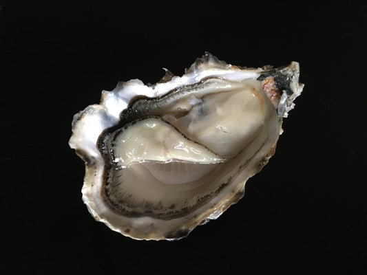 Huîtres naturelles de Chausey numéro 3