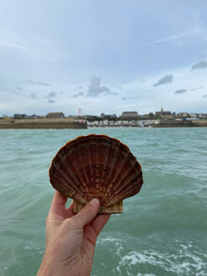 Coquilles Saint-Jacques entière par 1 kg